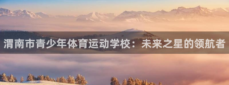 球皇APP下载：渭南市青少年体育运动学校：未来之星的领航者