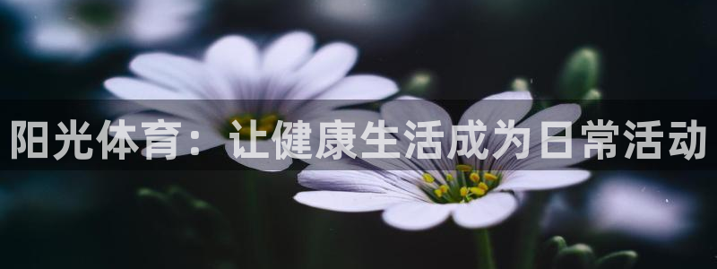 球皇看球app官网：阳光体育：让健康生活成为日常活动