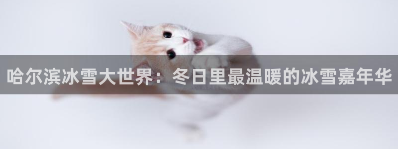 球皇看球APP：哈尔滨冰雪大世界：冬日里最温暖的冰雪嘉年华