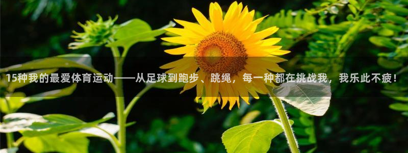 球皇直播网比赛录像：15种我的最爱体育运动——从足球到跑步、跳绳，每一种都在挑战我，我乐此不疲！