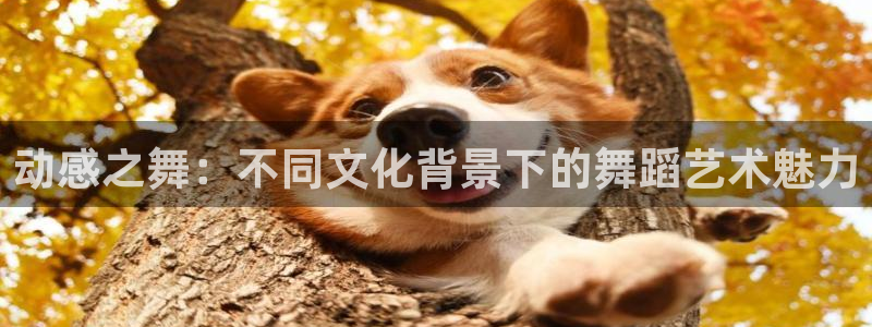 球皇直播网jrs：动感之舞：不同文化背景下的舞蹈艺术魅力