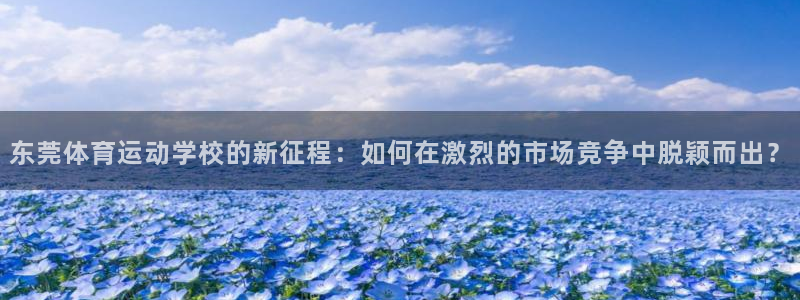 球皇社在线观看：东莞体育运动学校的新征程：如何在激烈的市场竞争中脱颖而出？