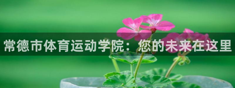 球皇直播网jrs：常德市体育运动学院：您的未来在这里