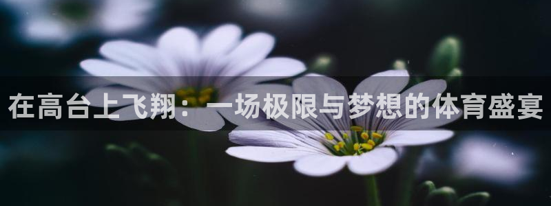 球皇直播cba直播：在高台上飞翔：一场极限与梦想的体育盛宴