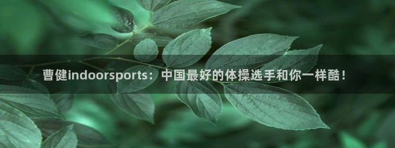 球皇看球：曹健indoorsports：中国最好的体操选手和你一样酷！